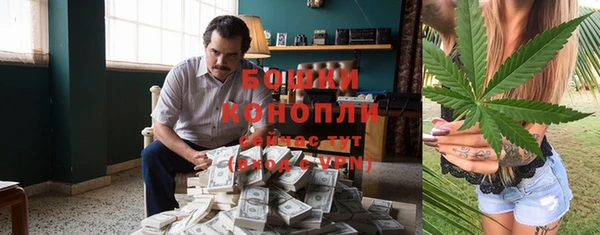 гидра Тутаев